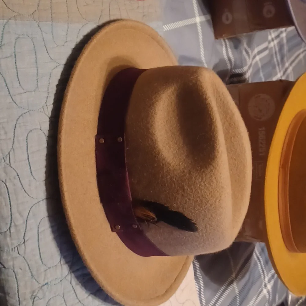 Stylish Men's Fedora Hat Collection - Picture 13 of 14